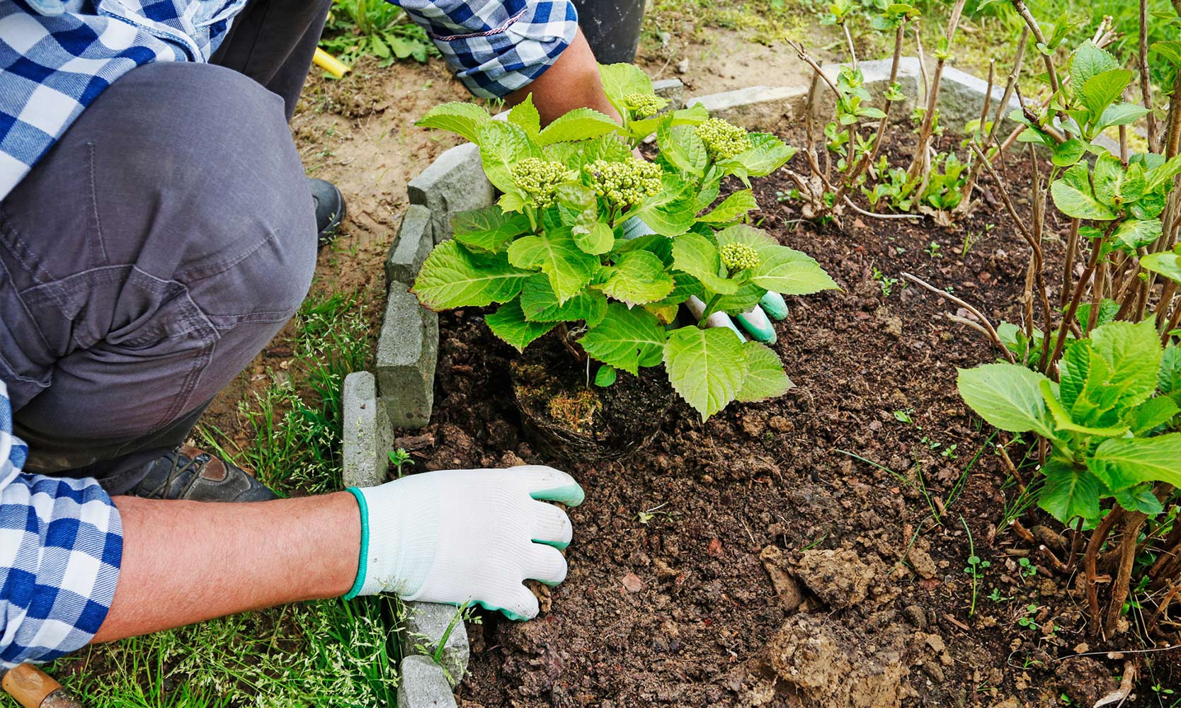 Top 10 Best Rated Local Gardeners near you Airtasker UK