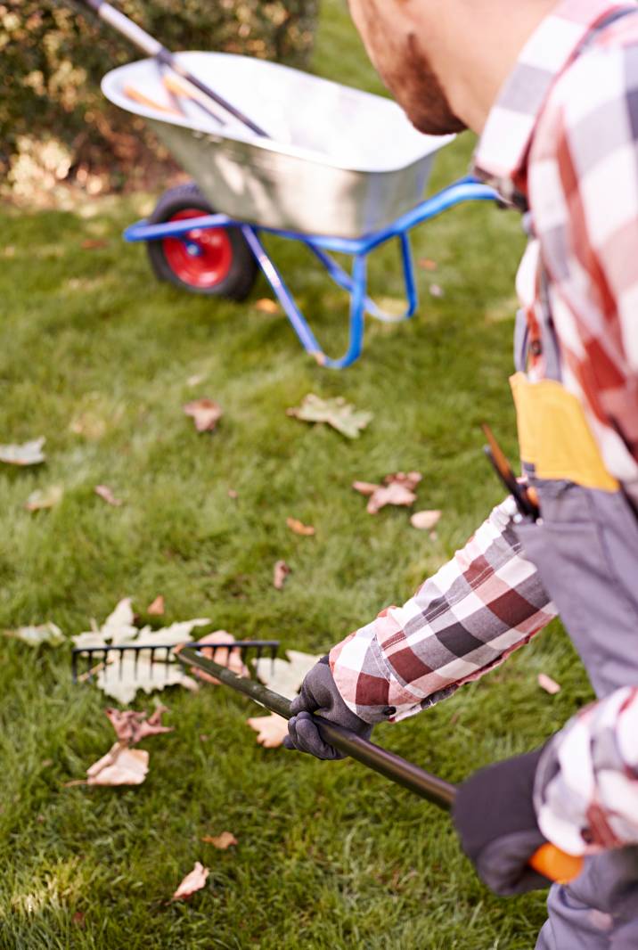 Garden Waste Removal Cost Guide Airtasker UK