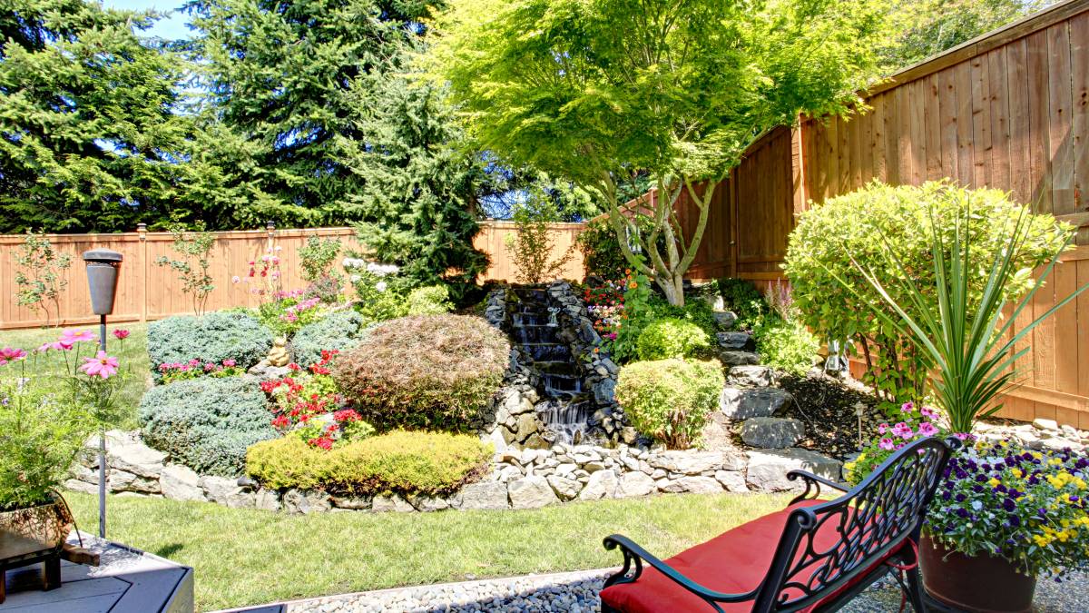 Best Garden Trees for Small Gardens Airtasker US