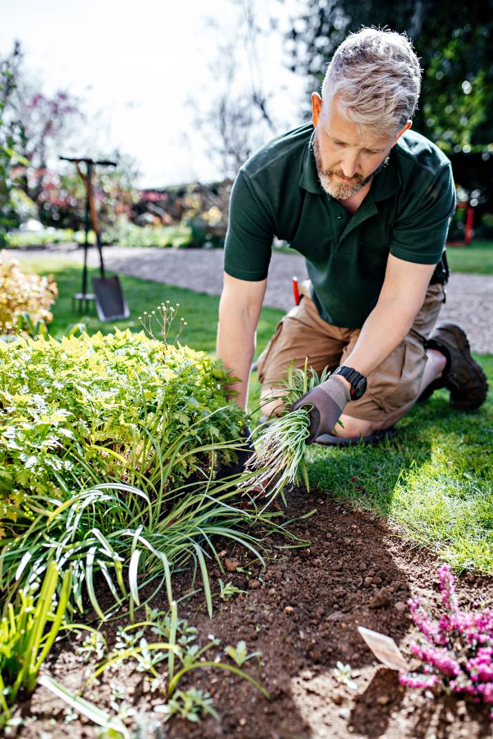 Gardener Cost Guide Airtasker US gardener-cost-guide-airtasker-us