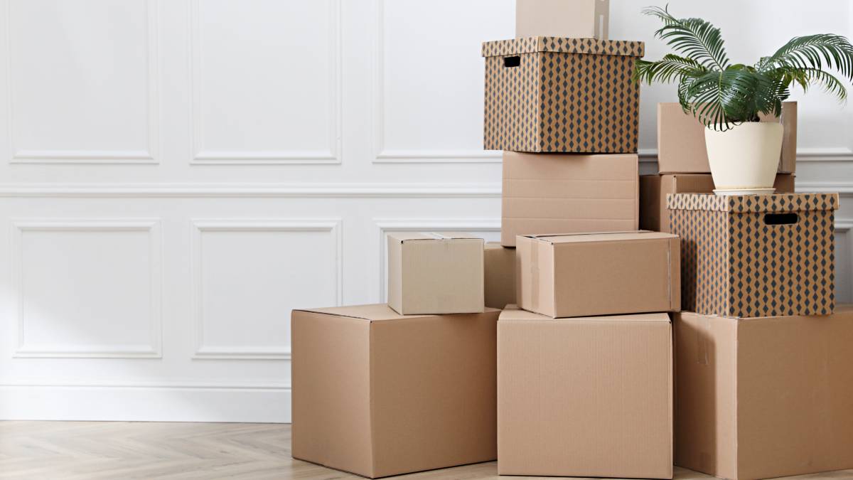 Where To Get Boxes Online Www pennygilley
