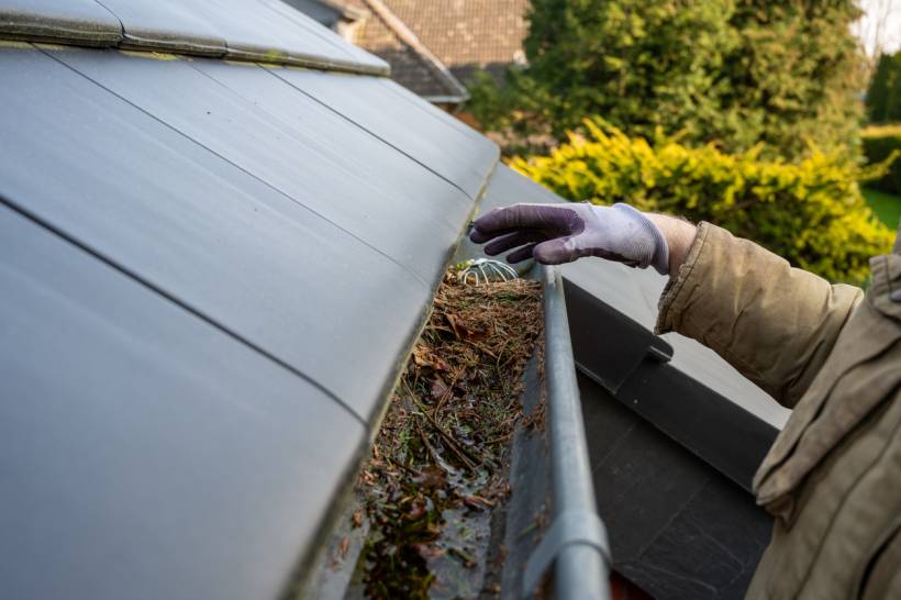 Gutter Cleaning