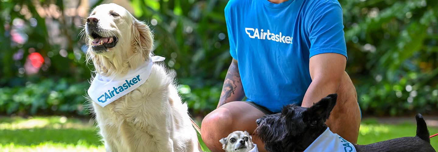 10+ Highly Rated Pet Care Services near you Airtasker UK