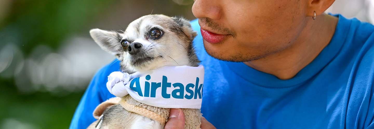 Perth Furbaby Grooming 101 Pet Minders Near You Airtasker AU