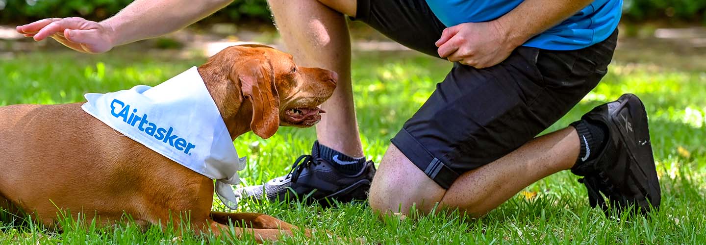 Discover the best Dog Day Care Experts near you Airtasker SG