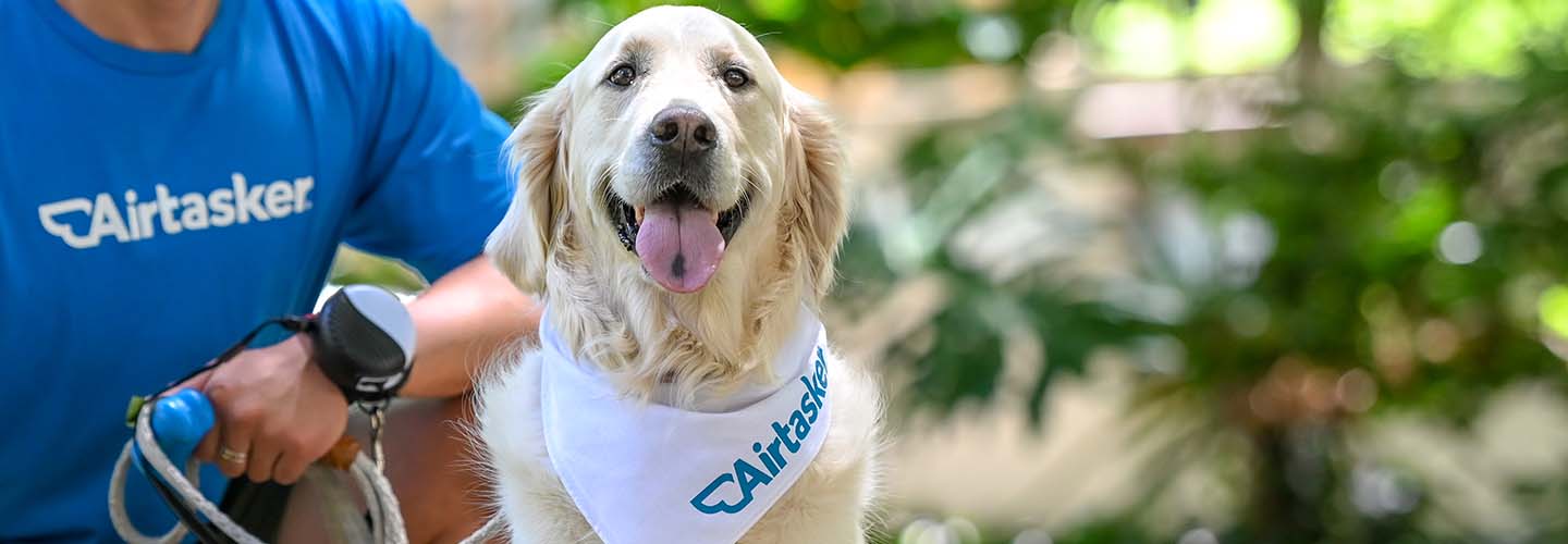 Top 10 Best Rated Dog Sitters in Western Australia Outback South